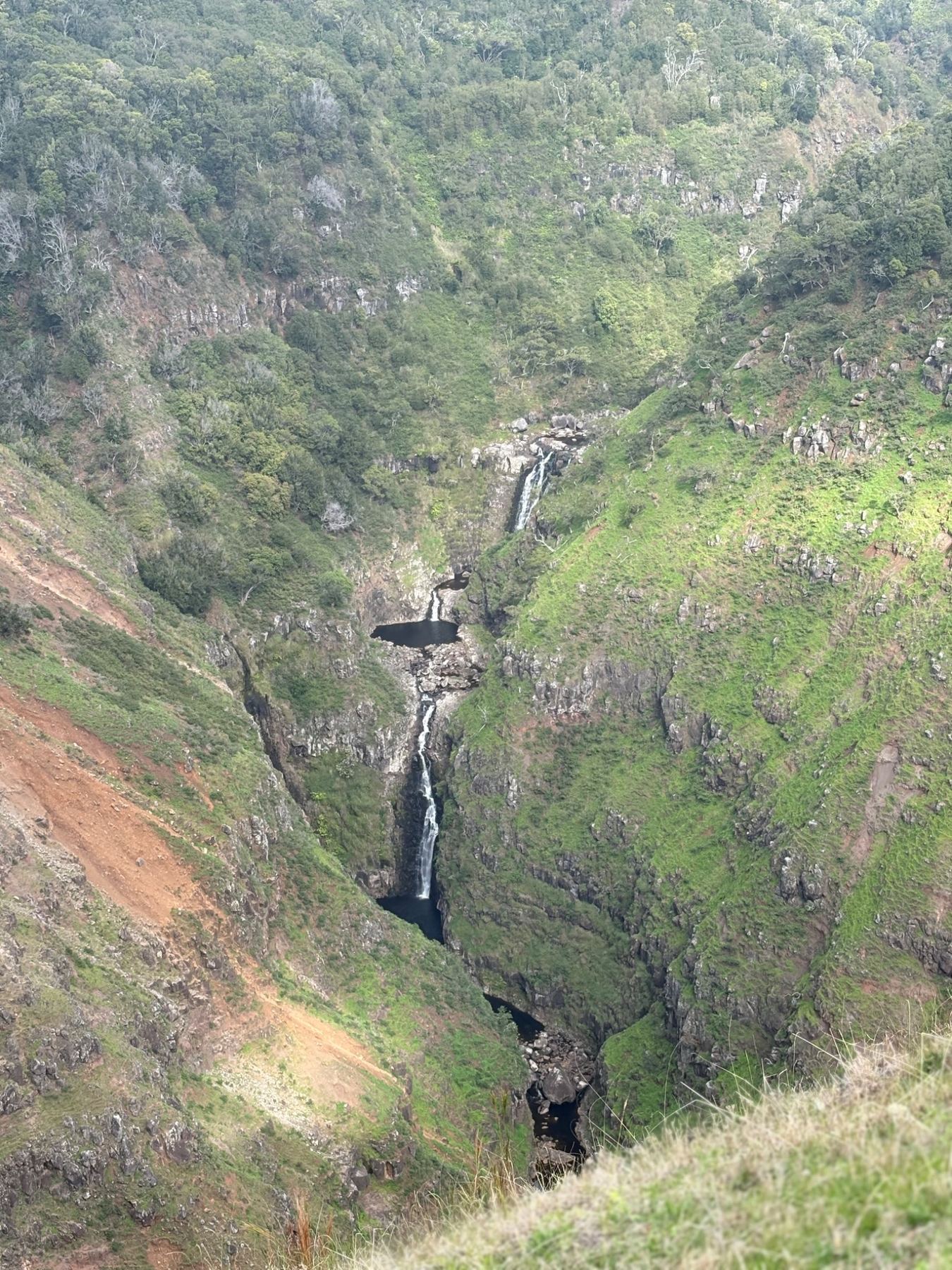 Waterfall in dense forest